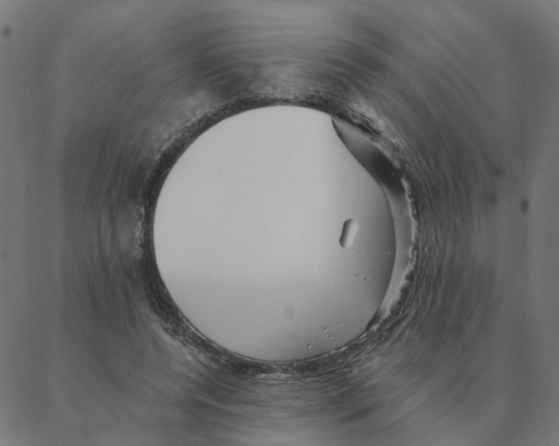 X0000087380544200705181245