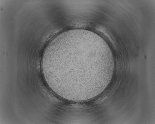 X0000087380545200705181245