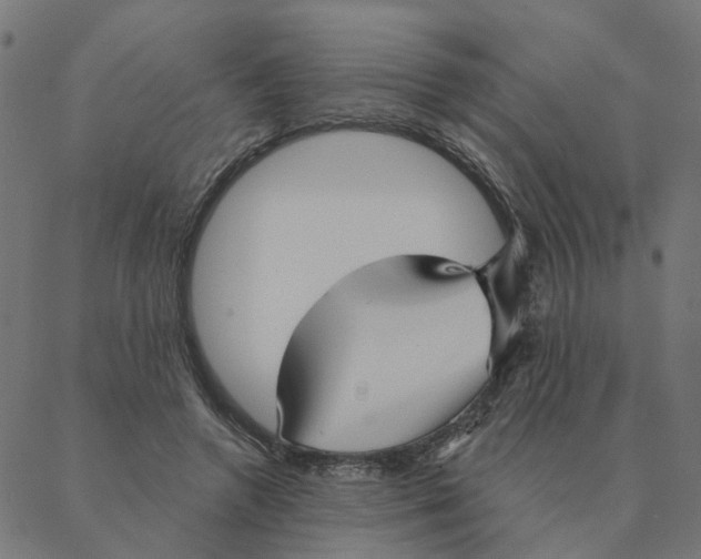 X0000087380546200705181245