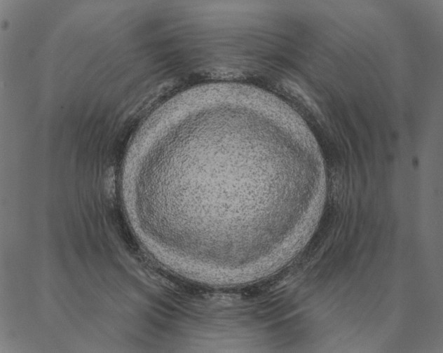 X0000087380549200705181245