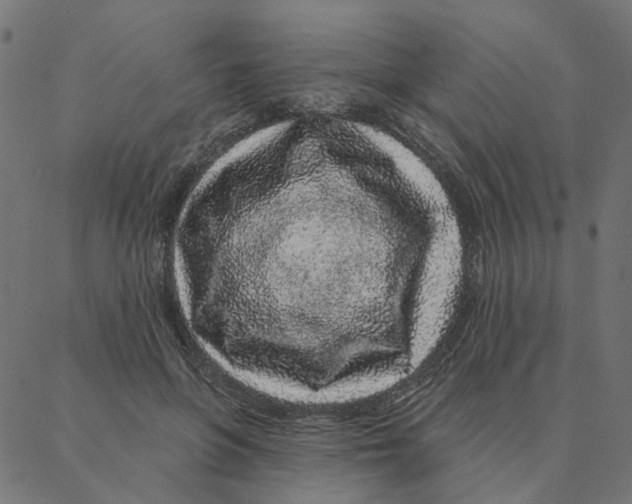 X0000087380551200705181245