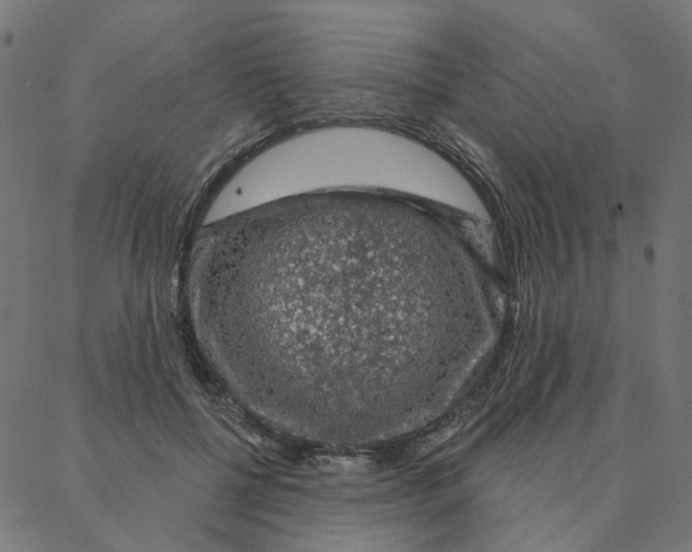 X0000087380552200705181245