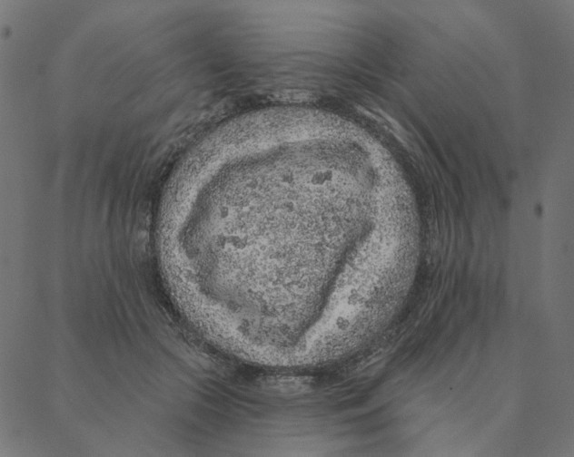 X0000087380553200705181245