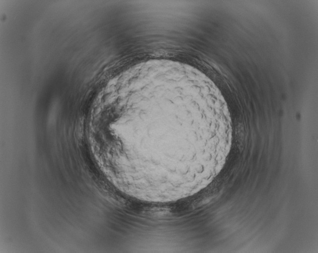 X0000087380554200705181245