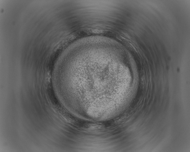 X0000087380555200705181245