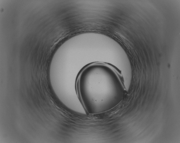 X0000087380556200705181245