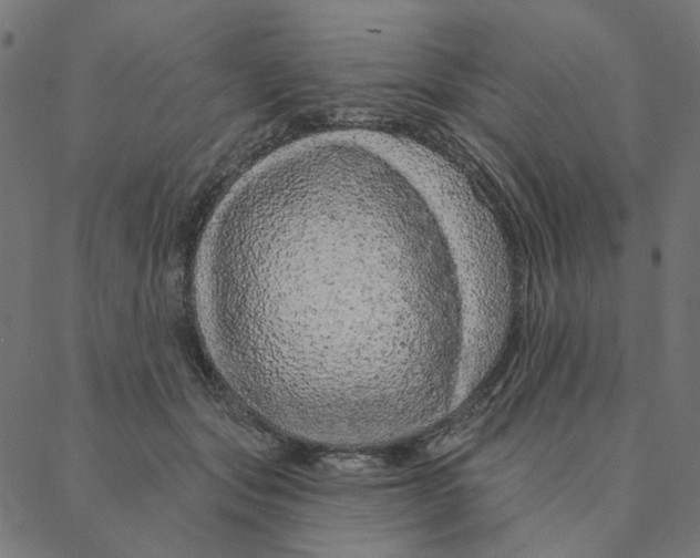 X0000087380557200705181245