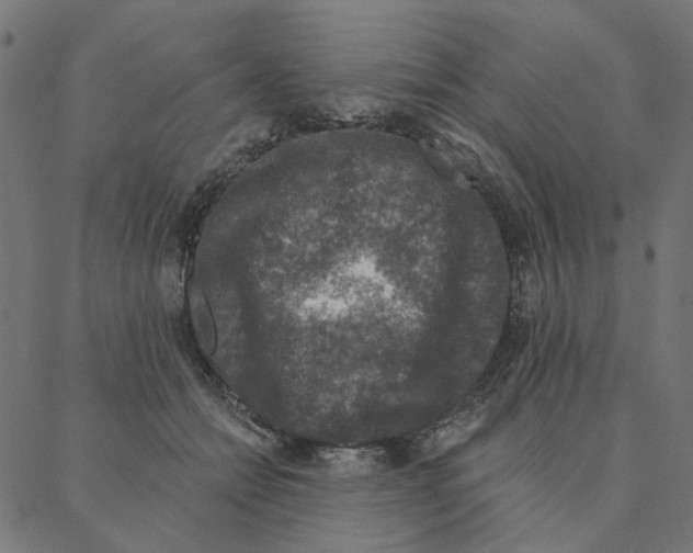 X0000087380558200705181245