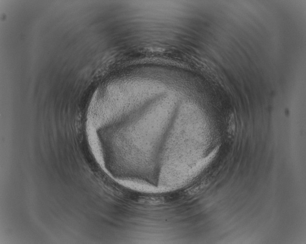 X0000087380559200705181245