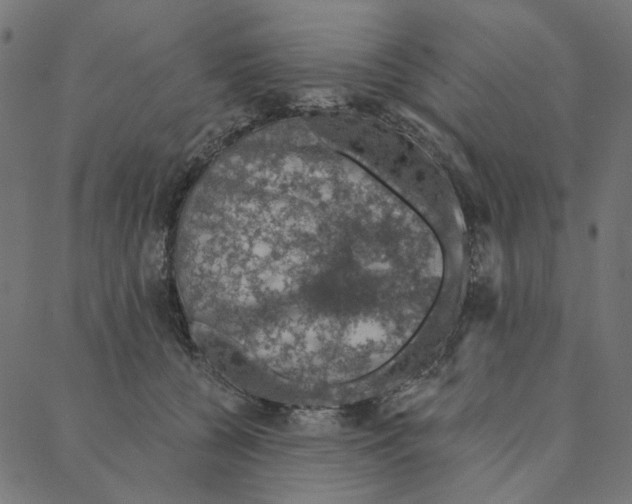 X0000087380560200705181245