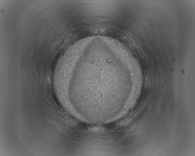 X0000087380561200705181245