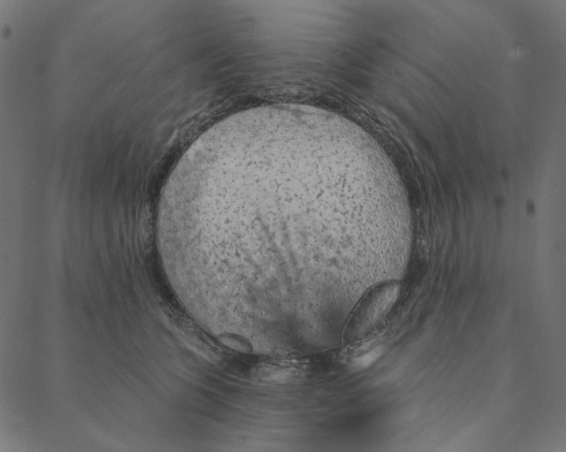 X0000087380563200705181245