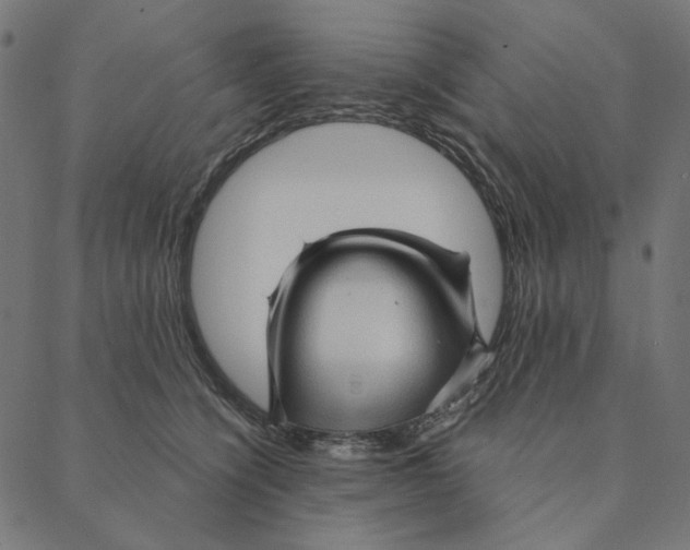 X0000087380564200705181245