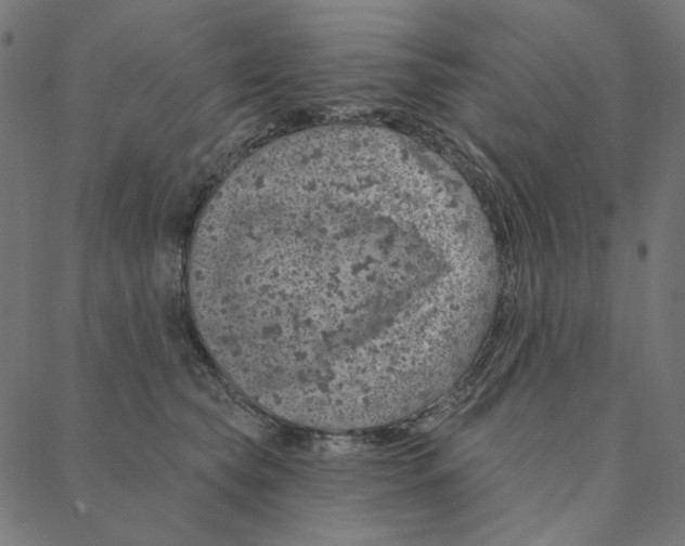 X0000087380565200705181245