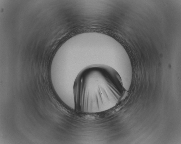 X0000087380566200705181245