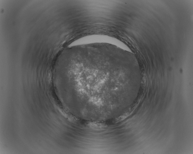 X0000087380568200705181245