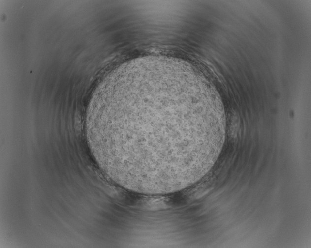 X0000087380569200705181245