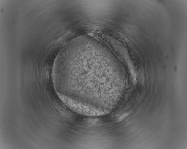 X0000087380570200705181245