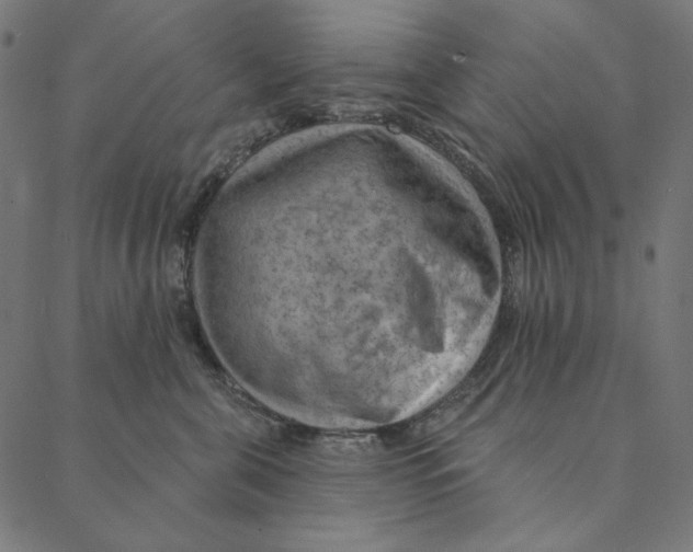 X0000087380571200705181245