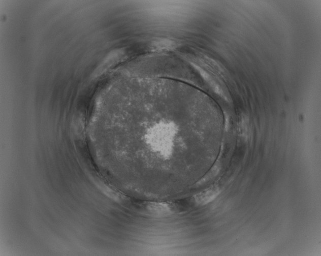 X0000087380572200705181245