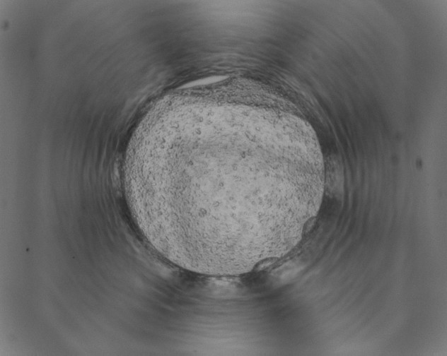 X0000087380573200705181245