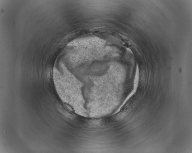 X0000087380574200705181245