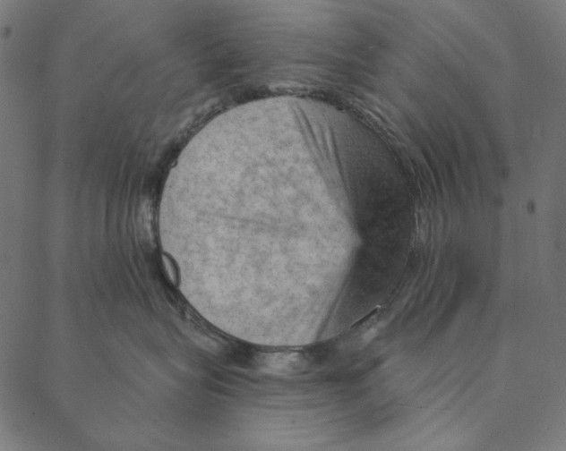 X0000087380575200705181245