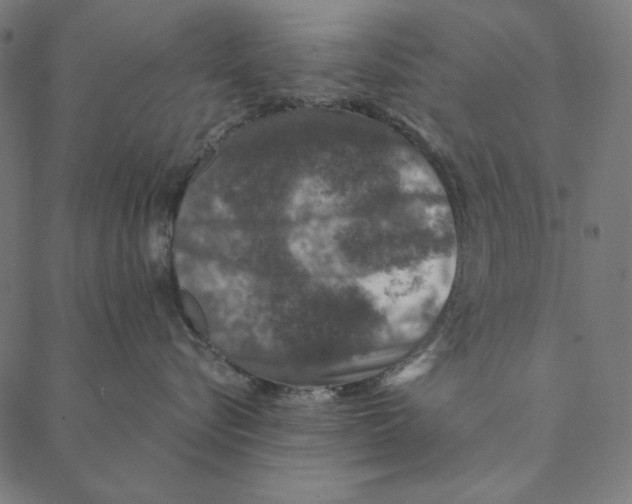 X0000087380576200705181245