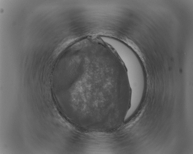 X0000087380577200705181244