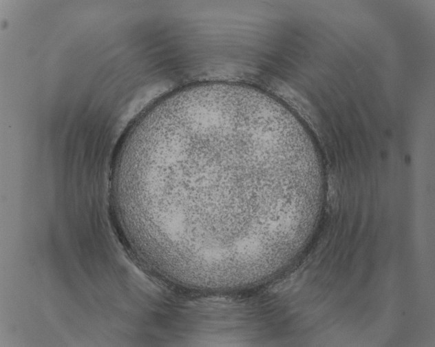 X0000087380578200705181244