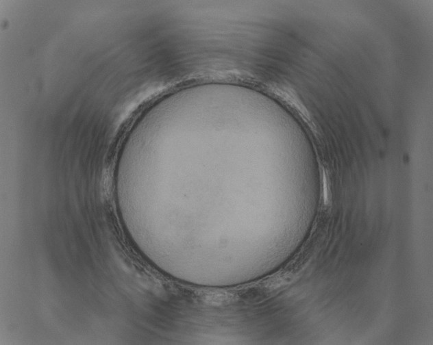 X0000087380579200705181244