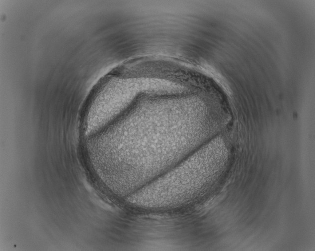 X0000087380580200705181244