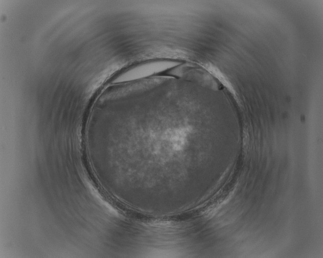 X0000087380581200705181244