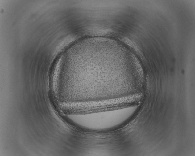 X0000087380582200705181244