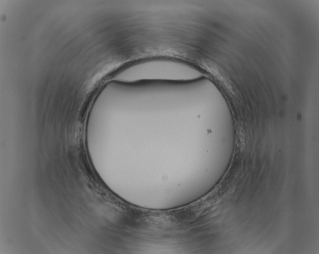 X0000087380583200705181244