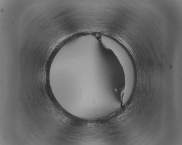 X0000087380584200705181244