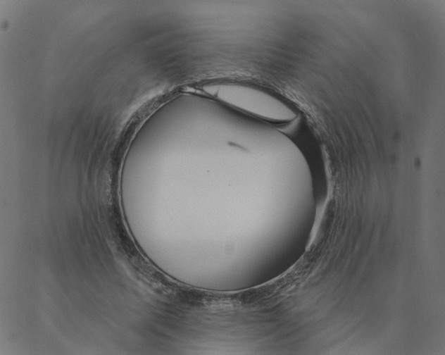 X0000087380587200705181244