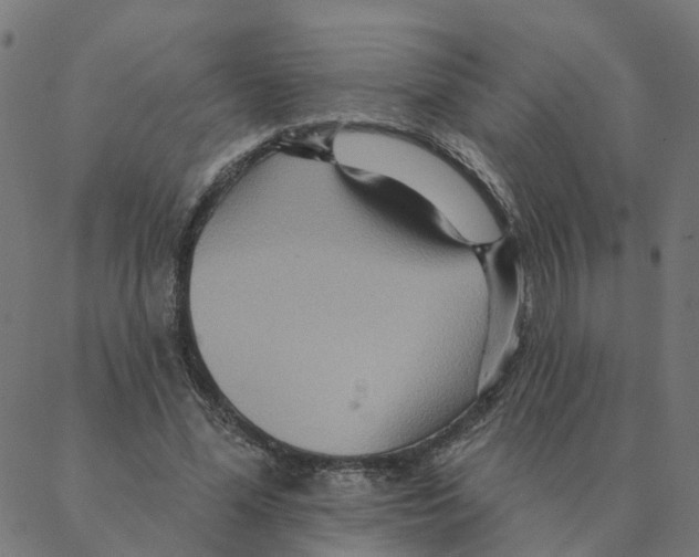 X0000087380588200705181244