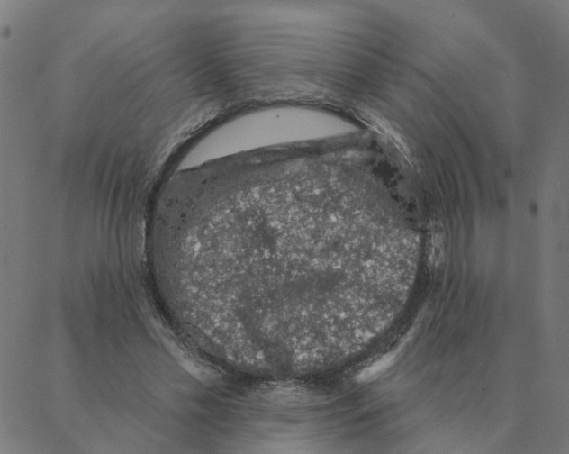 X0000087380589200705181244