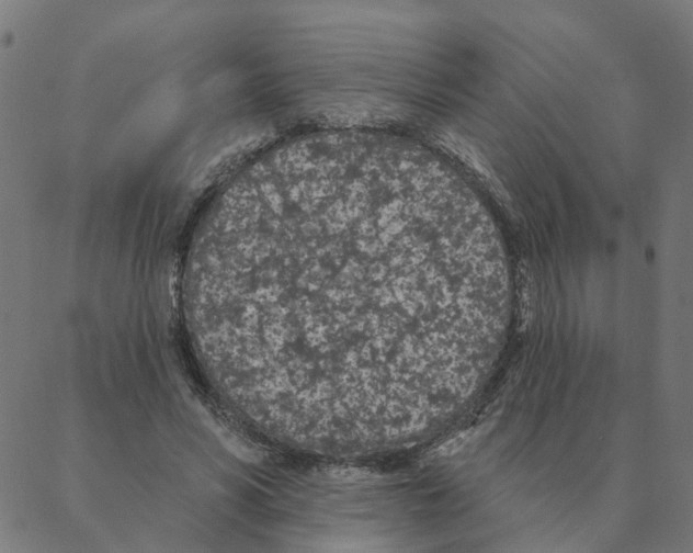 X0000087380590200705181244