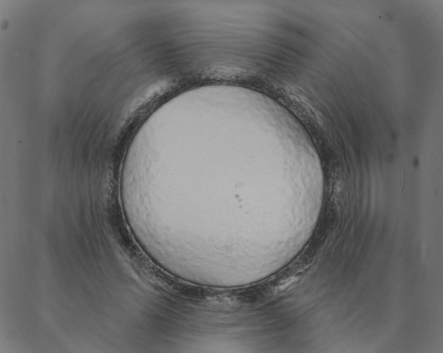 X0000087380591200705181244