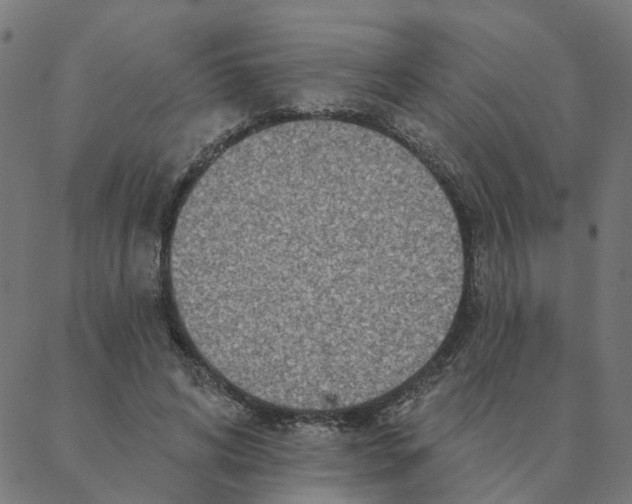 X0000087380592200705181244