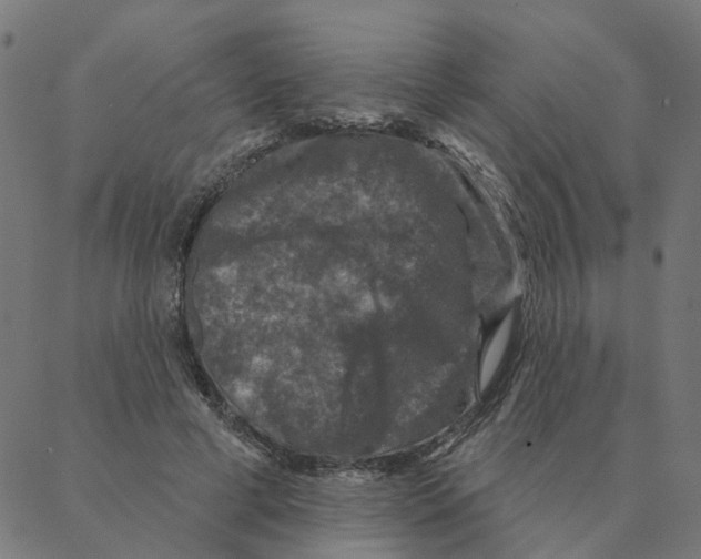 X0000087380593200705181244