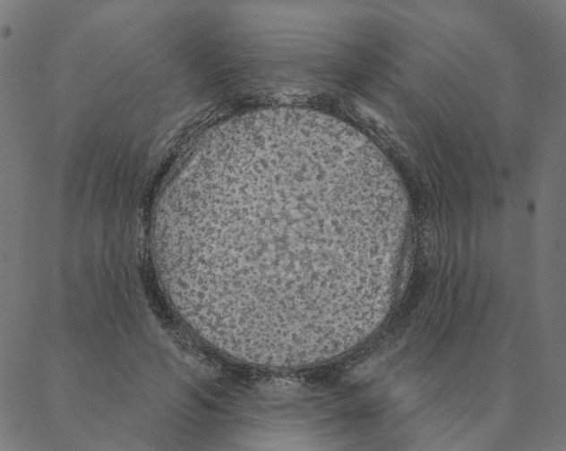 X0000087380594200705181244