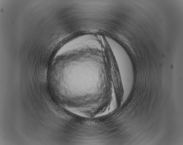 X0000087380596200705181244