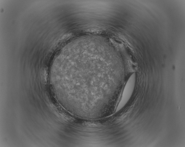 X0000087380597200705181244