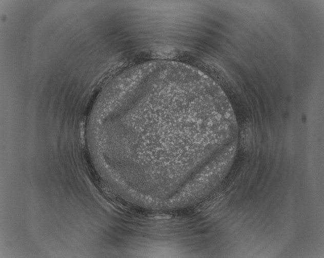 X0000087380598200705181244