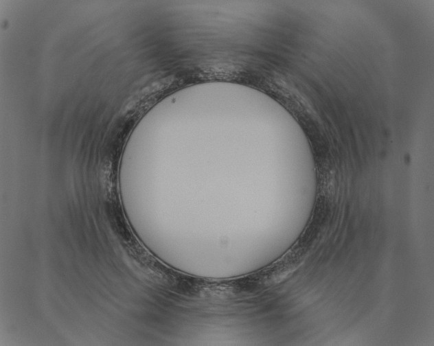 X0000087380599200705181244