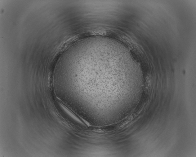 X0000087380600200705181244