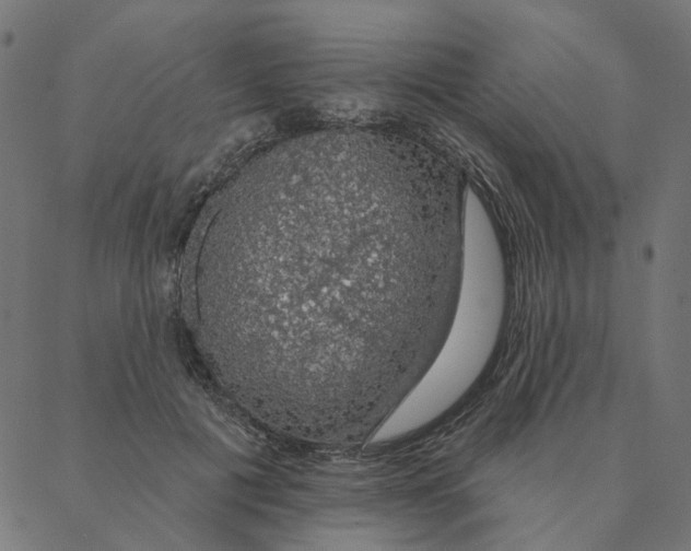 X0000087380601200705181244